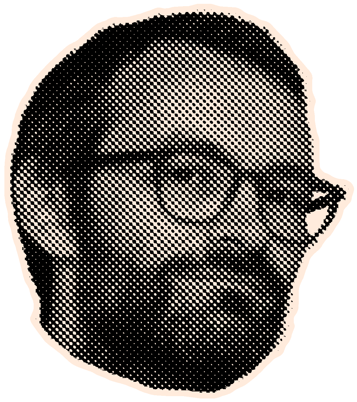 Halftone black and white portrait of Domi Flaig.